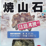焼山石 - 北投石・焼山石販売 洸石